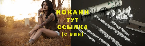ECSTASY Богородицк