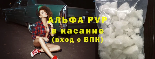 спайс Богданович