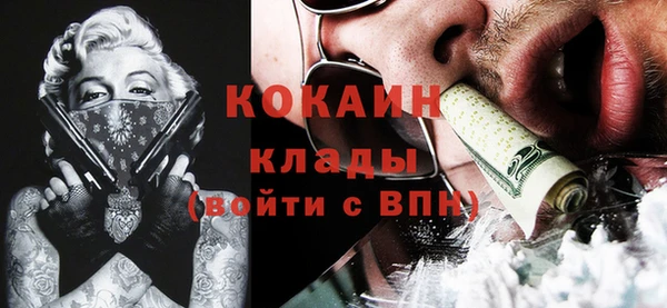 ECSTASY Богородицк