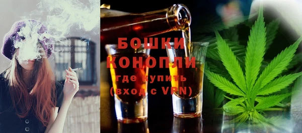 спайс Богданович