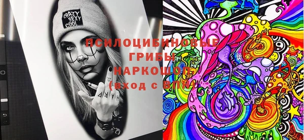 наркотики Бородино