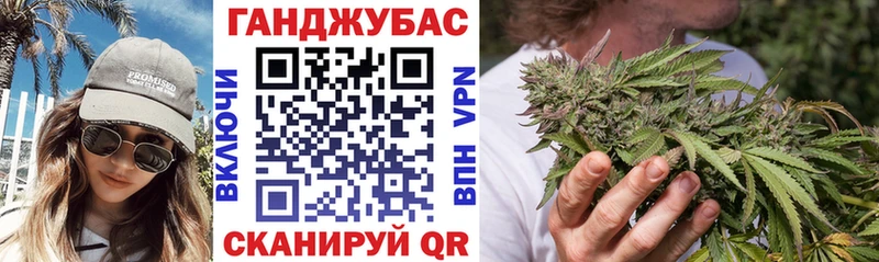 Каннабис индика  где можно купить наркотик  Елизово 